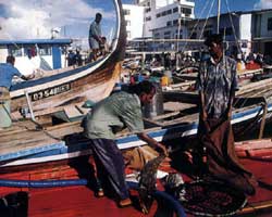 Pescatori al mercato del pesce