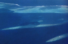 Una veduta aerea dell'arcipelago delle maldive